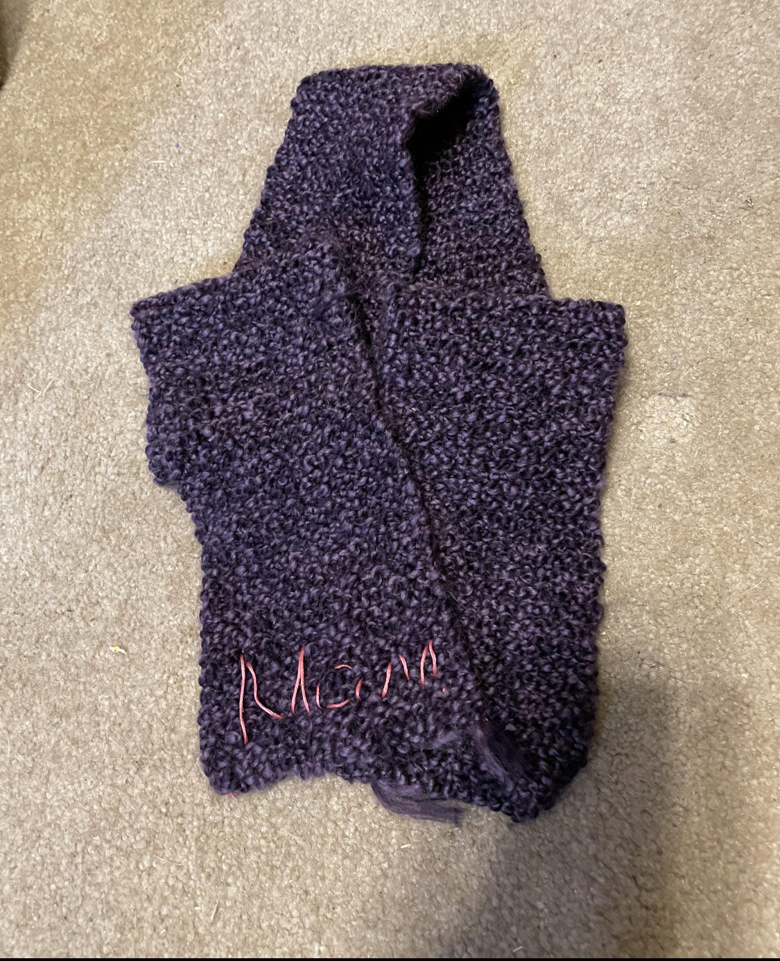 Mom's purple scarf